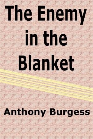Cover of the book The Enemy in the Blanket by Julia Mills
