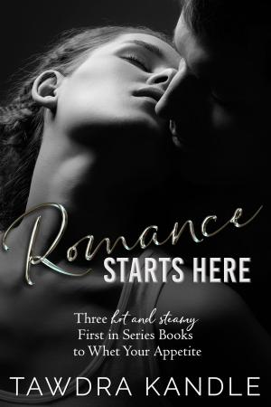 Cover of the book Romance Starts Here by Rekaya Gibson