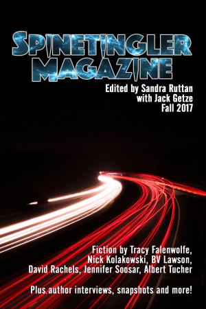 Book cover of Spinetingler Magazine Fall 2017