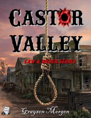 Cover of the book Castor Valley by S.L. Gape