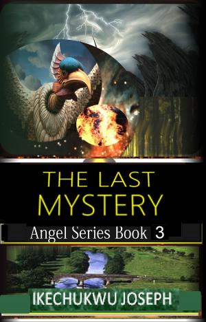 bigCover of the book The Last Mystery by 