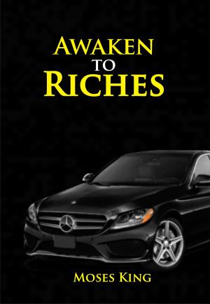 Cover of the book AWAKEN TO RICHES by Manuel Chu Rubio