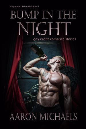 Cover of the book Bump in the Night (Expanded Edition) by Briar Rei Amor