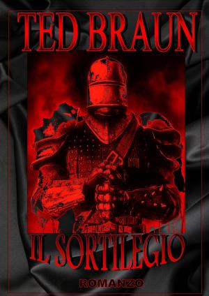Book cover of IL SORTILEGIO