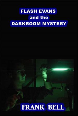 Cover of the book Flash Evans and the Darkroom Mystery by Mary Ellis