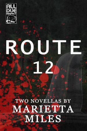 Cover of the book Route 12 by Richie Narvaez