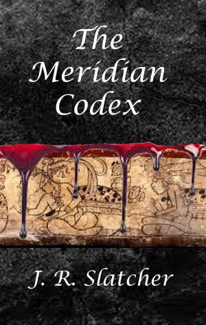 Cover of the book The Meridian Codex by Matt Lloyd