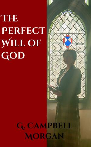 Cover of the book God's Perfect Will by Stephen Charnock