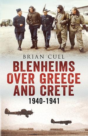 Book cover of Blenheims Over Greece and Crete 1940-1941