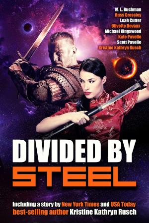 Cover of the book Divided By Steel by Kristine Kathryn Rusch, Dean Wesley Smith, Leah Cutter, Anne Hagan, Rei Rosenquist, Robert Jeschonek, S.R. Silcox, Andrea Dale, Dayle A. Dermatis, T. Thorn Coyle