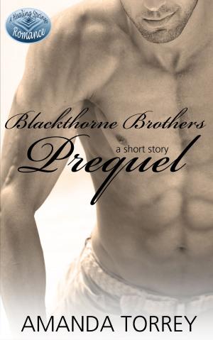 Cover of the book Blackthorne Brothers Prequel by Lionrhod