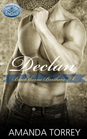 Book cover of Declan