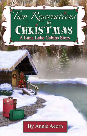 Cover of the book Two Reservations for Christmas by Olivia Noble