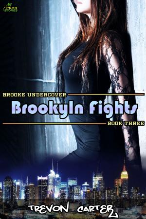 Cover of the book Brooklyn Fights by S.L. Dearing