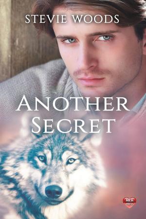 Cover of Another Secret