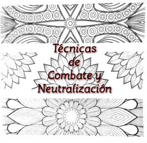 Cover of the book Técnicas de Combate y Neutralización by Allan David Ondash