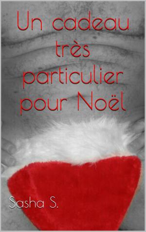 Cover of the book Un cadeau très particulier pour Noël by Erica Ridley