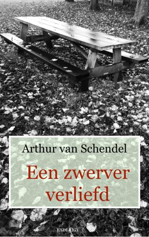 Cover of the book Een zwerver verliefd by Naomi Rawlings