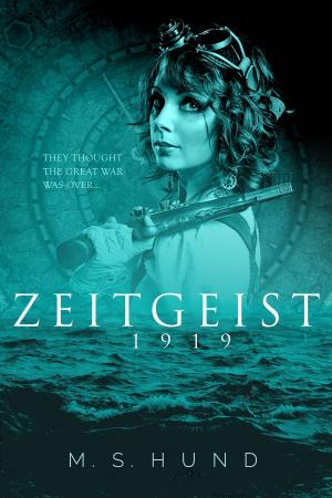 Book cover of Zeitgeist 1919