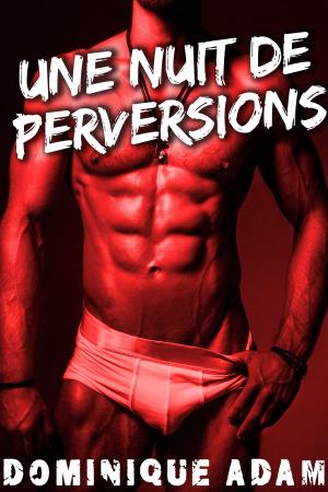 Cover of the book Une Nuit De Perversions MM by Dominique Adam