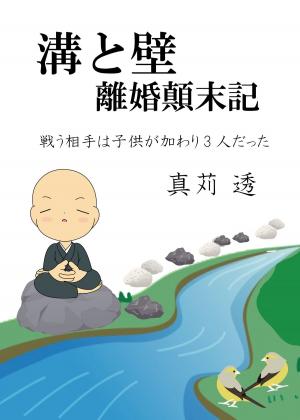 Cover of the book 溝と壁 by Carreen Maloney