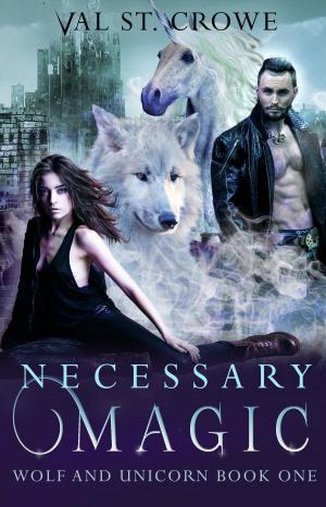 Cover of the book Necessary Magic by Kathleen Herbert