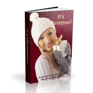 Cover of the book It’s Christmas! by Shalaena Medford