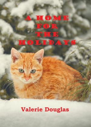 Book cover of A Home for the Holidays