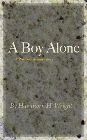 Book cover of A Boy Alone