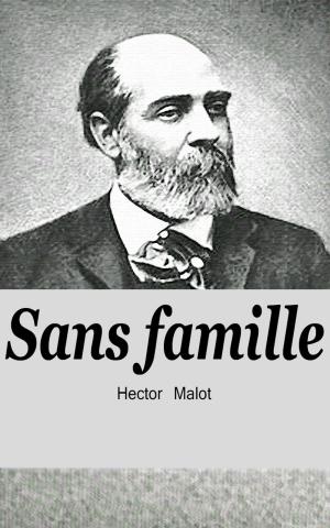 Cover of the book Sans famille by Hector Malot
