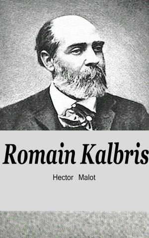 Book cover of Romain Kalbris