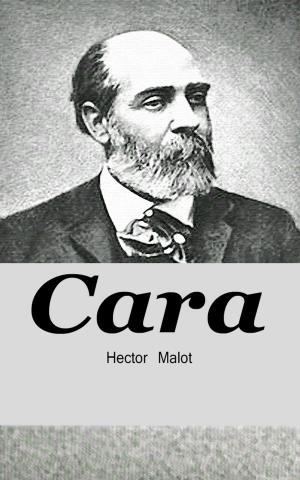 Book cover of Cara