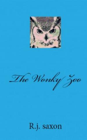 Book cover of The Wonky Zoo