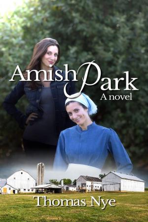 Cover of the book Amish Park by Trish Harris