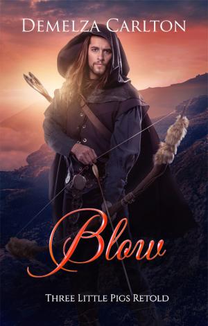 Cover of the book Blow by Rachael Herron