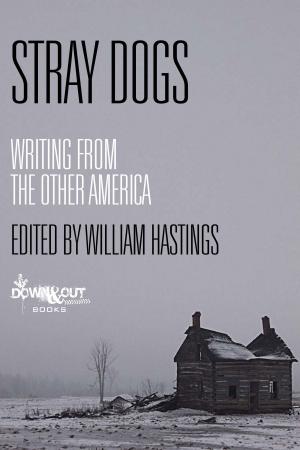 Cover of Stray Dogs: Writing from the Other America