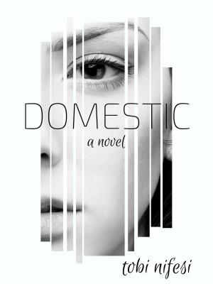 Cover of the book DOMESTIC by Gail McFarland