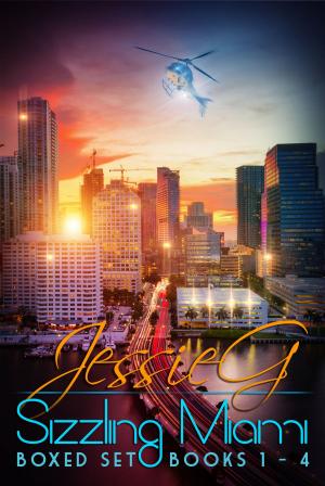 Cover of the book Sizzling Miami Boxed Set by Sylvie de Seins