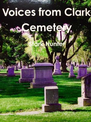 Cover of the book Voices from Clark Cemetery by T.J. Burdick