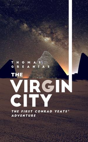 Cover of the book The Virgin City by Lynn Jackman