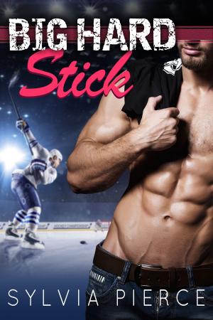 Cover of the book Big Hard Stick by Bernadette Y. Connor