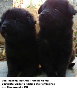 Cover of the book Dog Training Tips and Training Guide by Lisa Manzione