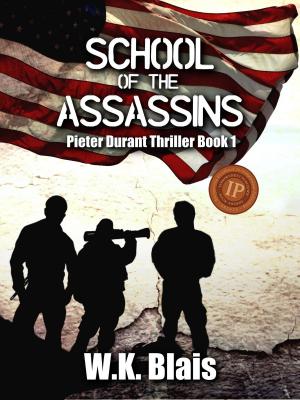bigCover of the book School of the Assassins by 
