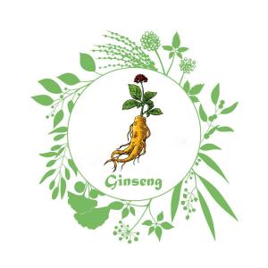 Cover of LE GINSENG ET SES VERTUS