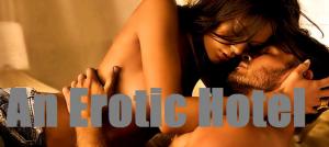 bigCover of the book An Erotic Hotel by 