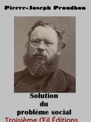 Book cover of Solution du problème social