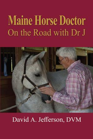 Book cover of Maine Horse Doctor