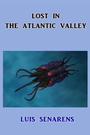 Cover of the book Lost in the Atlantic Valley by Mary E. Wilkins