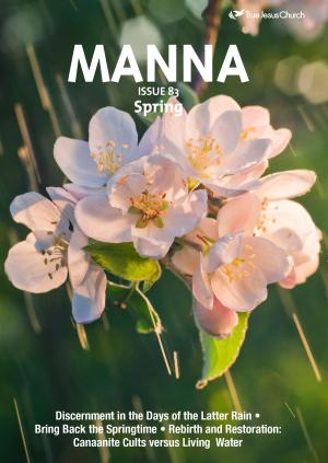 Cover of the book Manna No.83 by Zenhashy