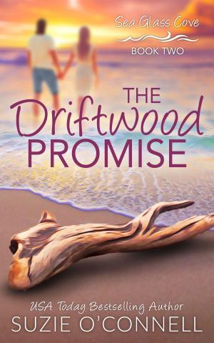 Book cover of The Driftwood Promise